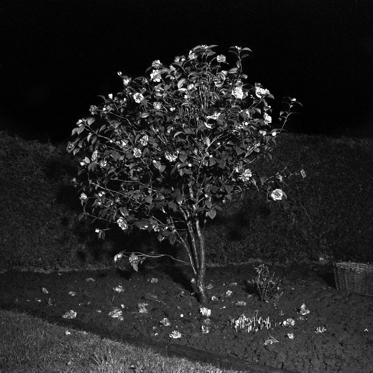 Ich vergehe vor Ungewissheit