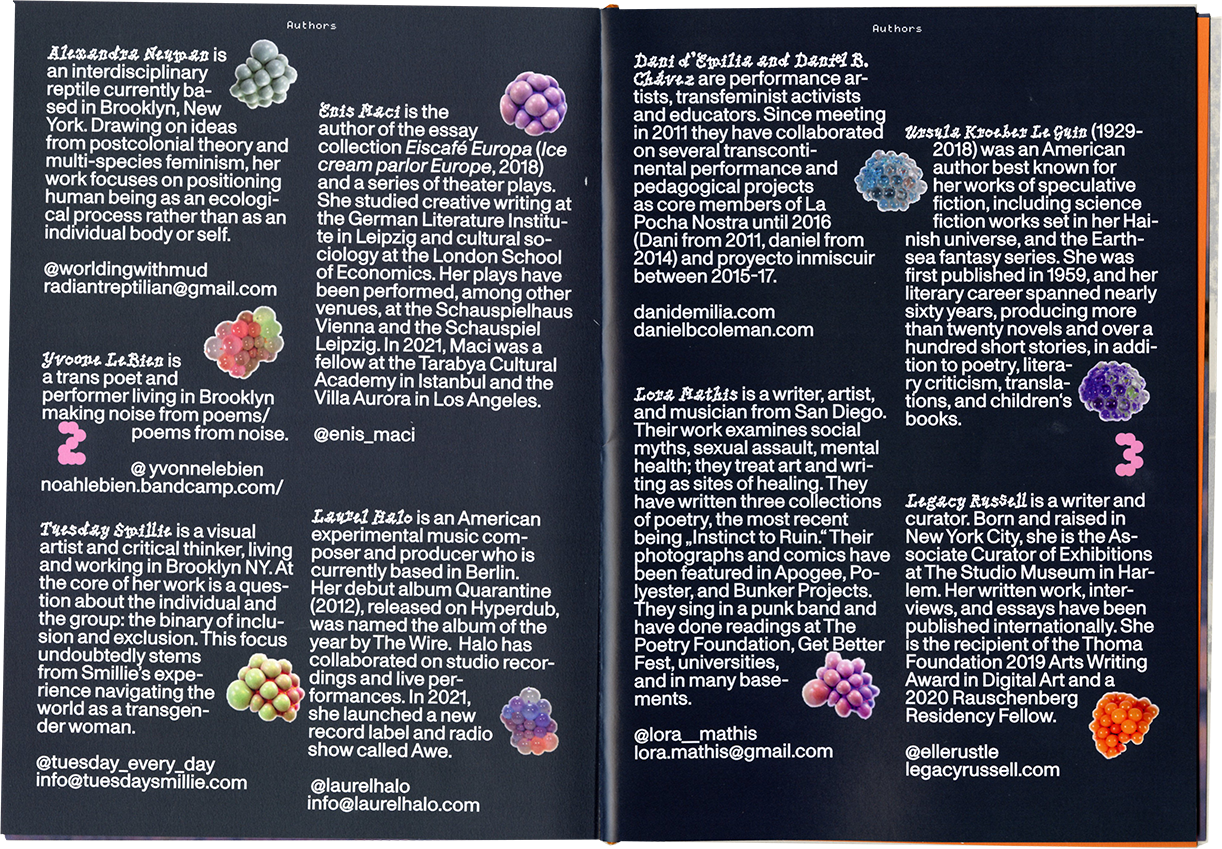 Radikalitäten oder die Zärtlichkeit, die ich in einer Tasche fand