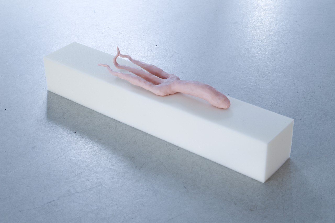 Radikalitäten oder die Zärtlichkeit, die ich in einer Tasche fand