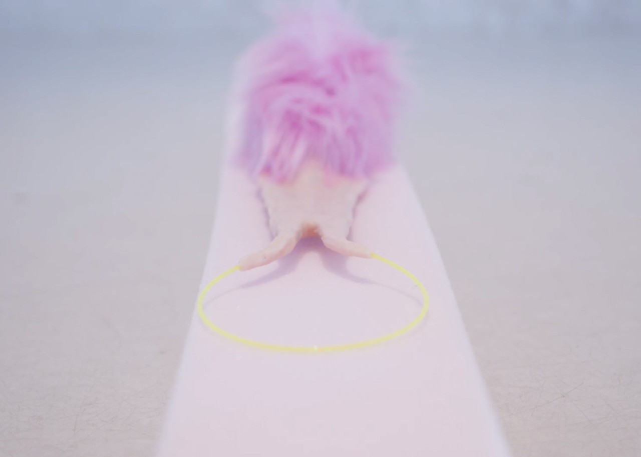 Radikalitäten oder die Zärtlichkeit, die ich in einer Tasche fand