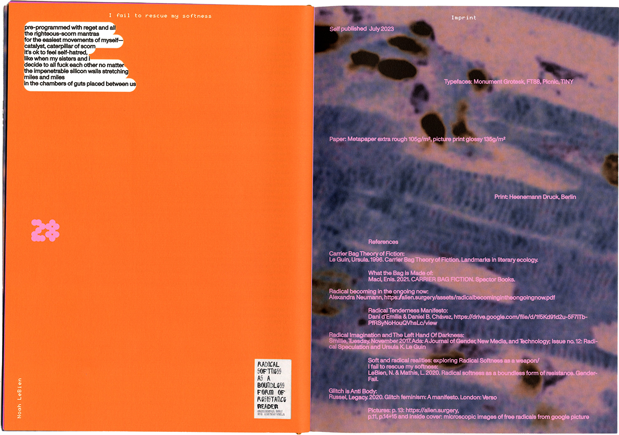 Radikalitäten oder die Zärtlichkeit, die ich in einer Tasche fand