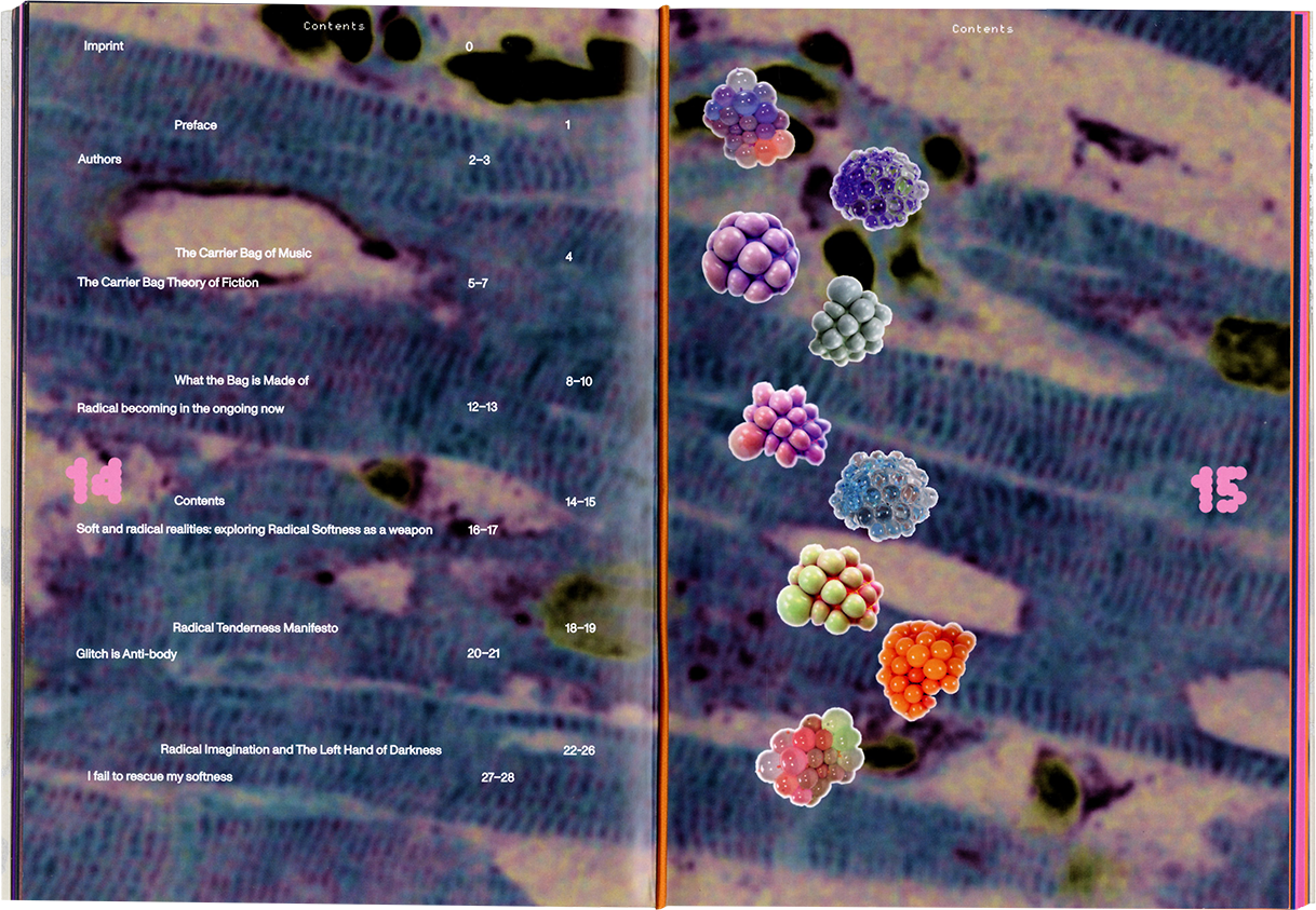 Radikalitäten oder die Zärtlichkeit, die ich in einer Tasche fand