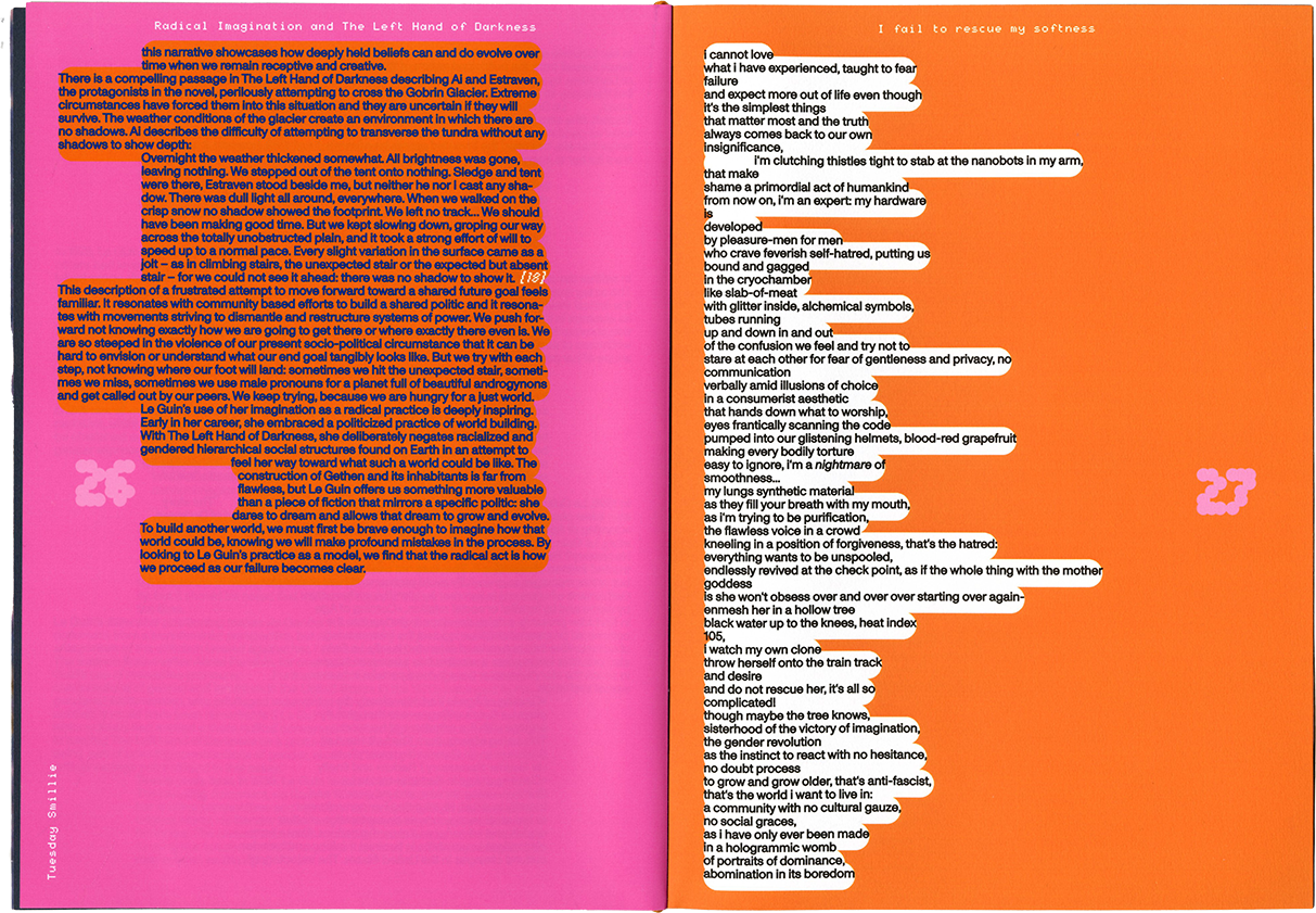 Radikalitäten oder die Zärtlichkeit, die ich in einer Tasche fand