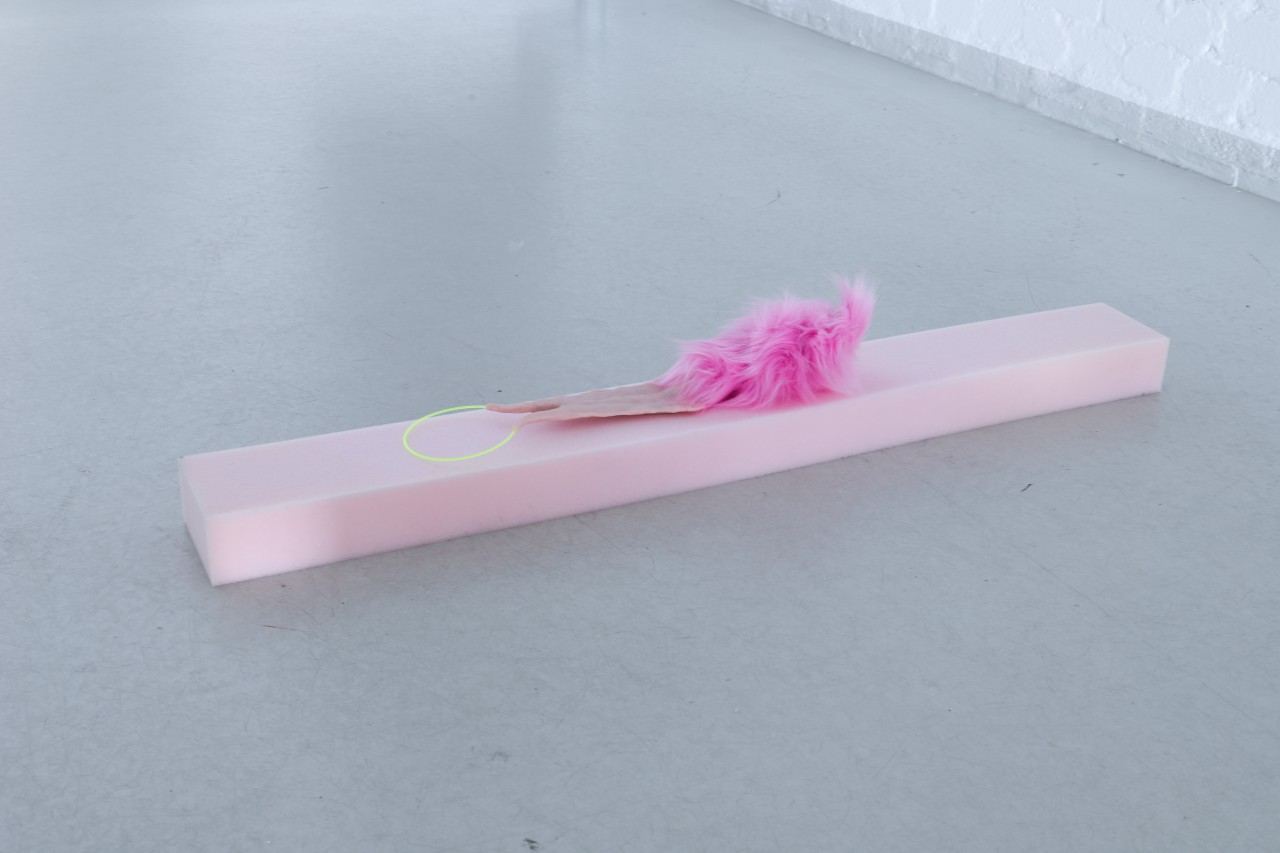 Radikalitäten oder die Zärtlichkeit, die ich in einer Tasche fand