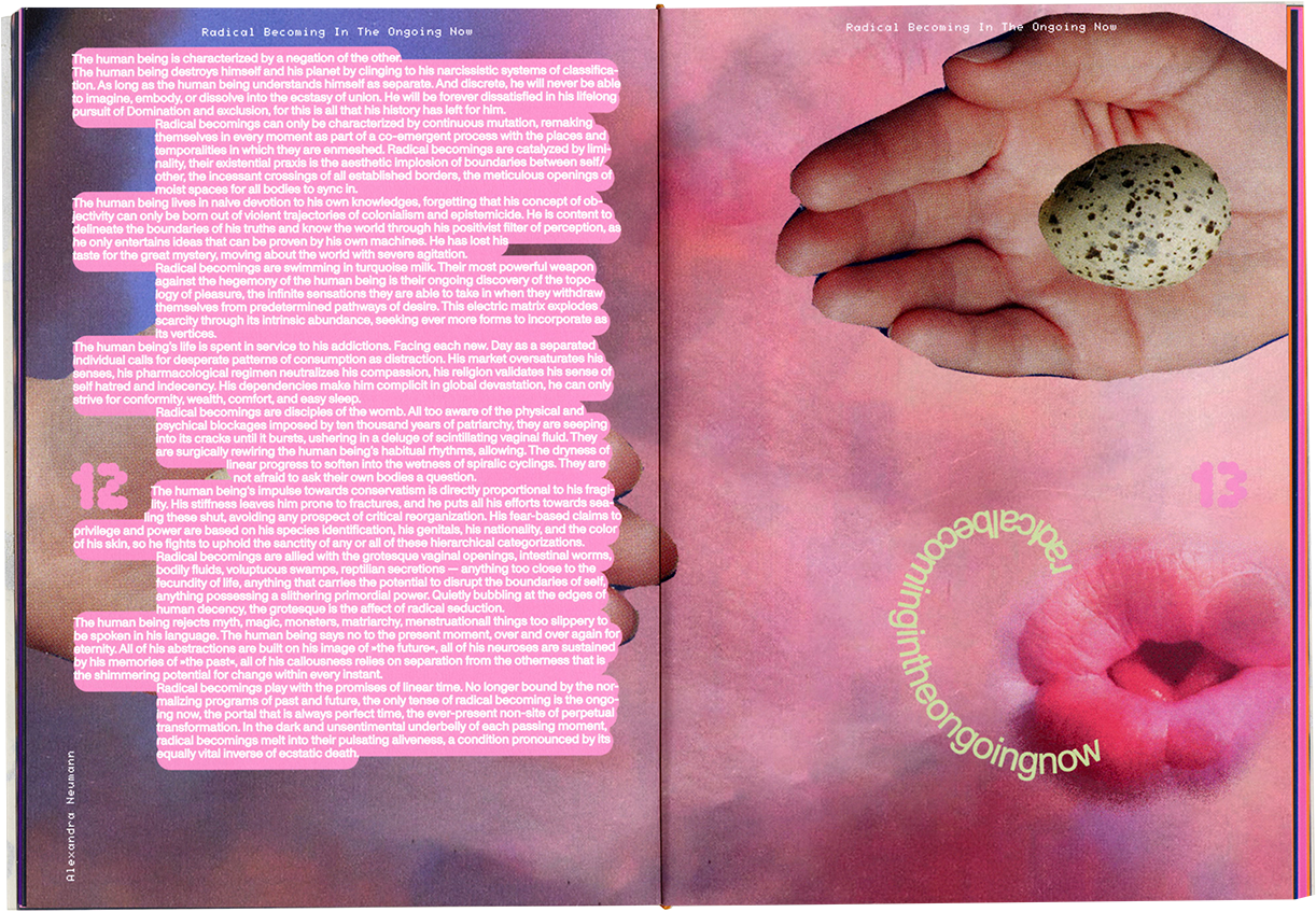 Radikalitäten oder die Zärtlichkeit, die ich in einer Tasche fand